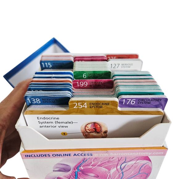Barron's Human Anatomy Flash Cards 2nd Edition Nursing Medical Biology Study - Picture 6 of 6